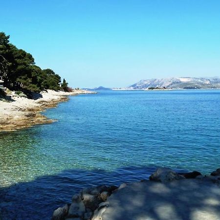 Nice Apartment & Room In Cavtat Zewnętrze zdjęcie