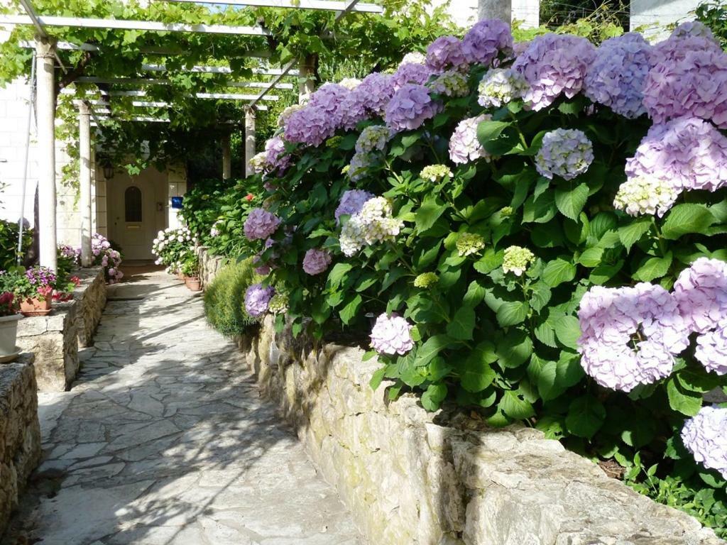 Nice Apartment & Room In Cavtat Zewnętrze zdjęcie
