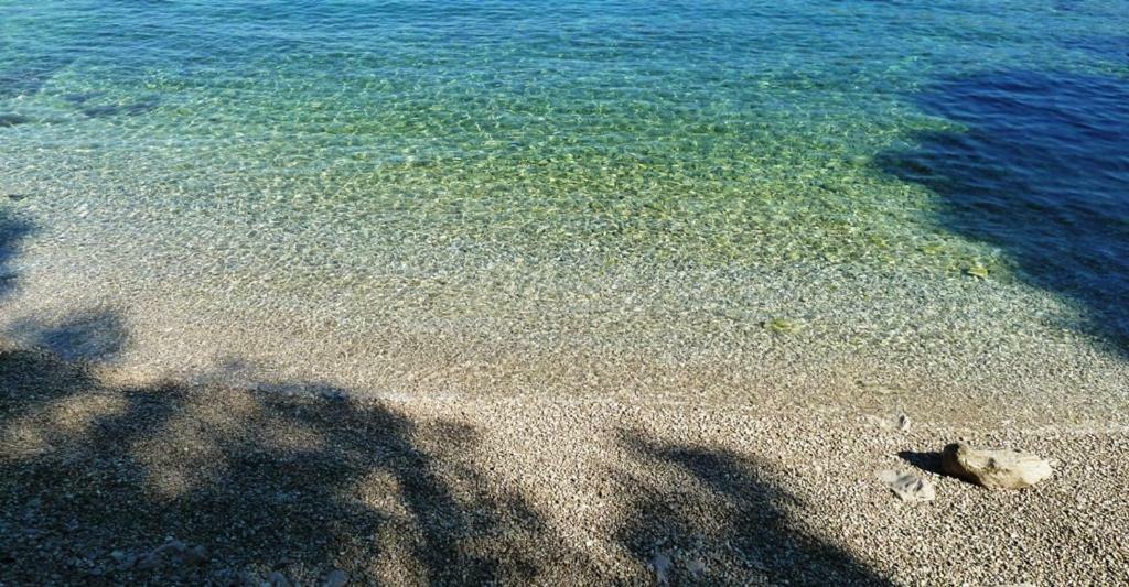 Nice Apartment & Room In Cavtat Zewnętrze zdjęcie