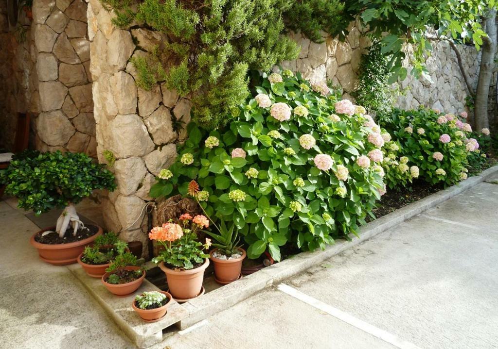 Nice Apartment & Room In Cavtat Zewnętrze zdjęcie